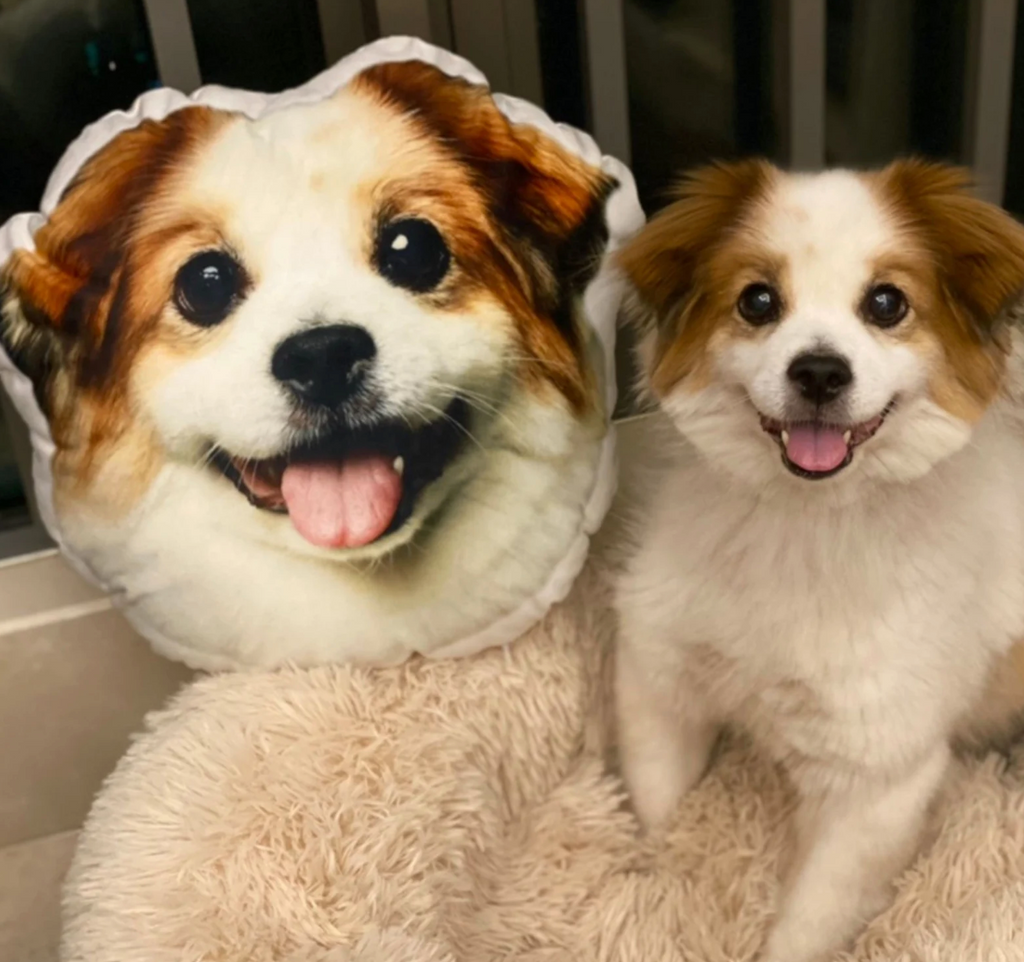 Unique and Personalized Gift-Giving: Custom Pillows and Pet Photo Pillows in Canada